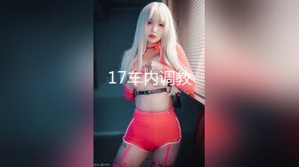 17车内调教