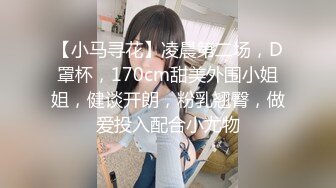 【小马寻花】凌晨第二场，D罩杯，170cm甜美外围小姐姐，健谈开朗，粉乳翘臀，做爱投入配合小尤物