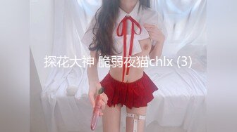 探花大神 脆弱夜猫chlx (3)