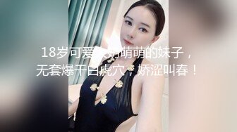 后入情趣小母狗 嗷嗷叫