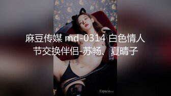 麻豆传媒 md-0314 白色情人节交换伴侣-苏畅、夏晴子